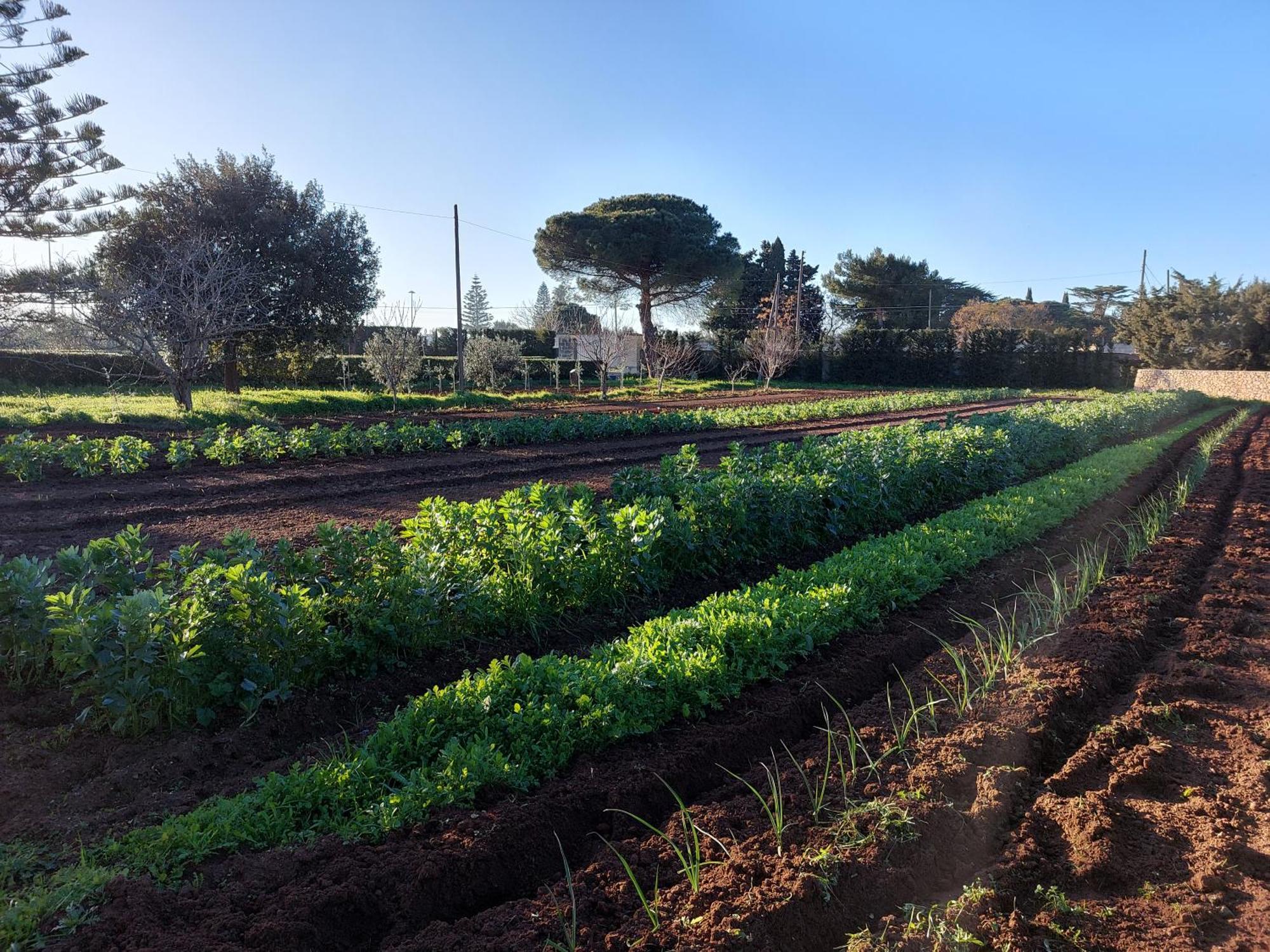 L'Aira Ecchia - Ospitalita Rurale Villa Lecce Eksteriør bilde