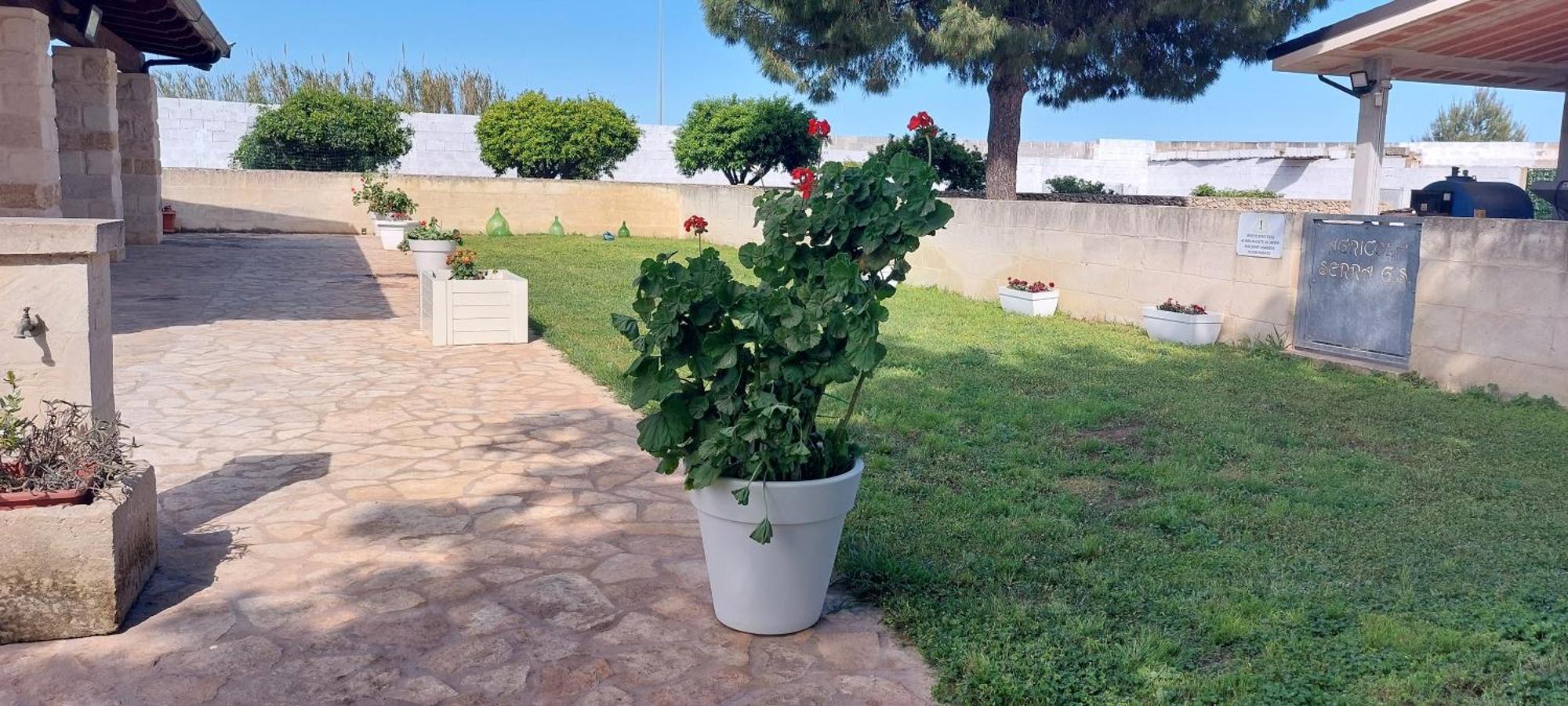 L'Aira Ecchia - Ospitalita Rurale Villa Lecce Eksteriør bilde